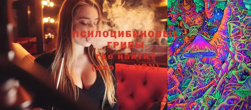 Псилоцибиновые грибы MAGIC MUSHROOMS  ссылка на мегу ССЫЛКА  Кашин 